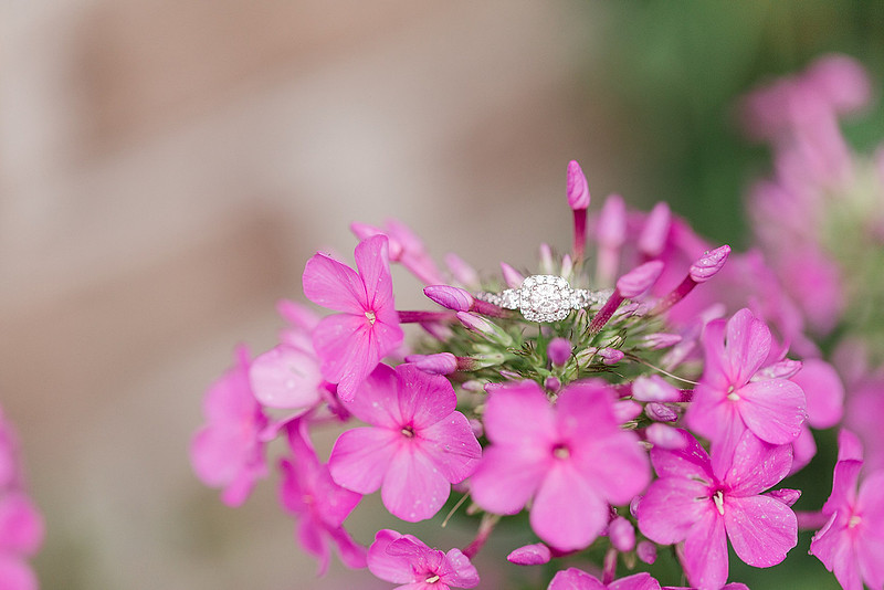 Jennifer B Photography_1429