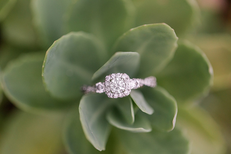 Jennifer B Photography_1431