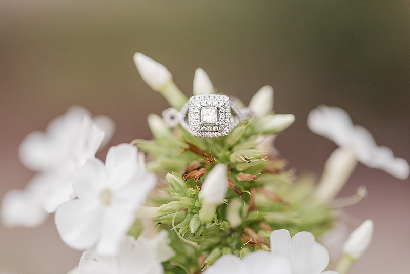 Jennifer B Photography_1601