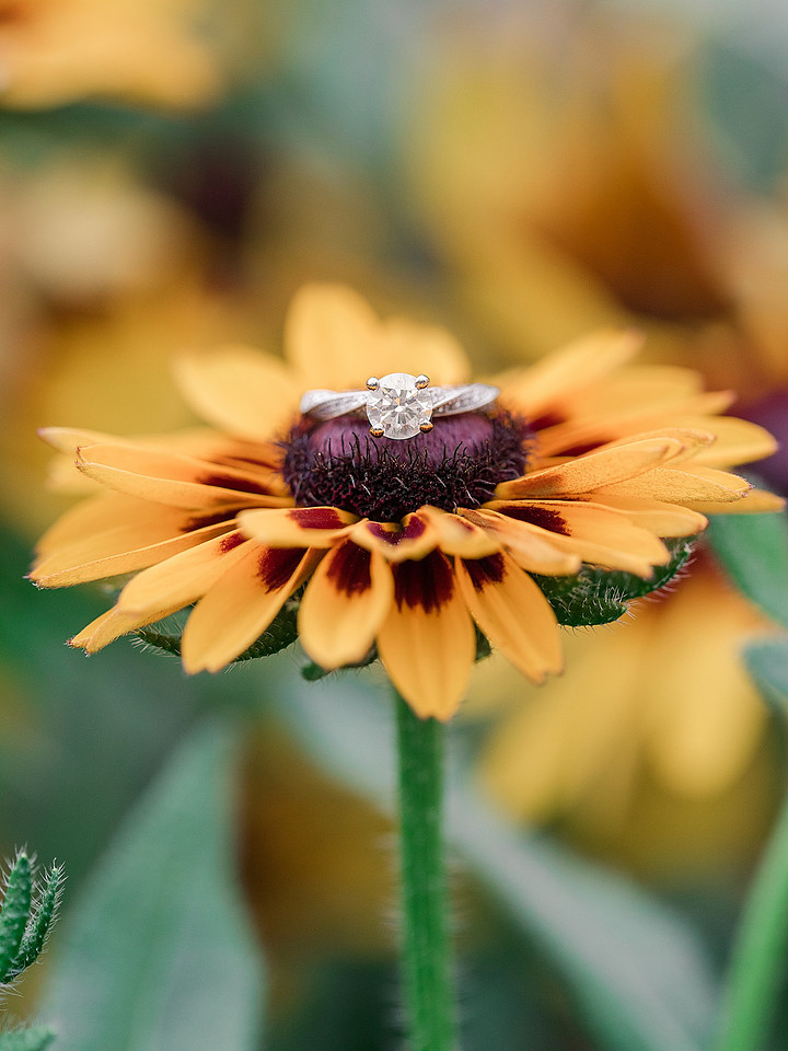Jennifer B Photography_1682