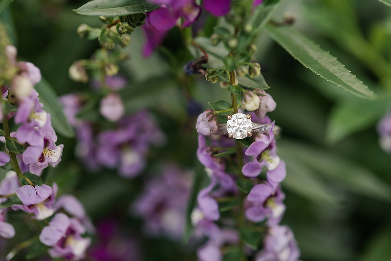 Jennifer B Photography_1683