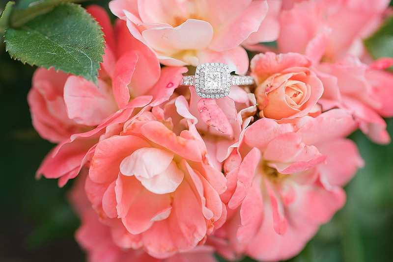 Jennifer B Photography_1700