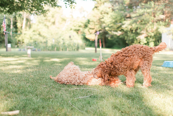 Jennifer B Photography_1778