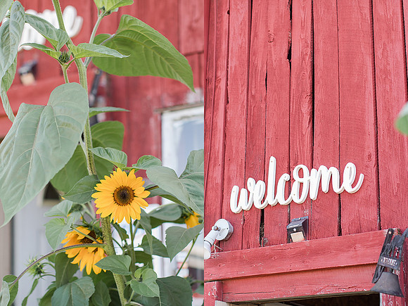 Jennifer B Photography_1792