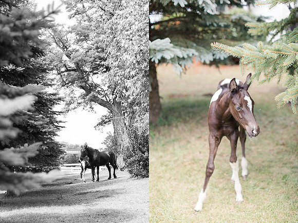 Jennifer B Photography_1799