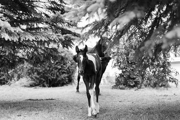 Jennifer B Photography_1800