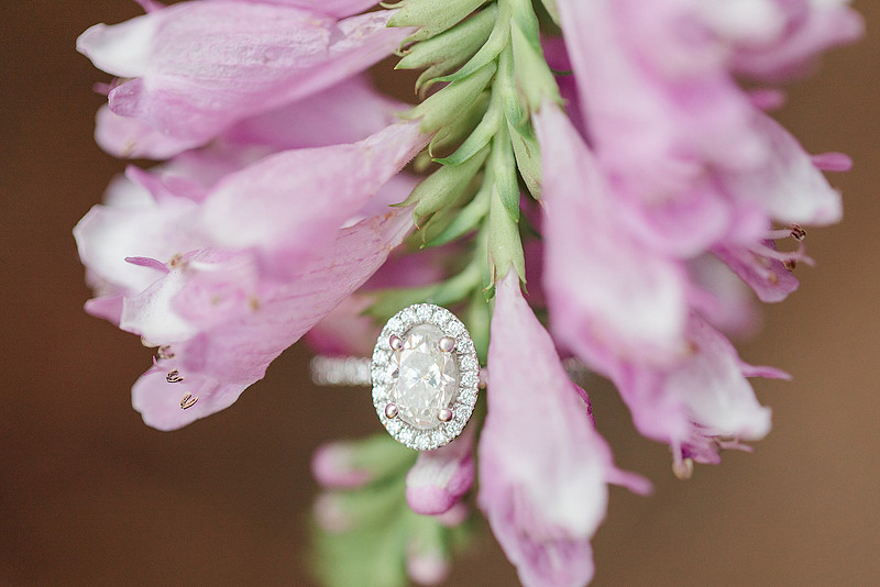Jennifer B Photography_2551
