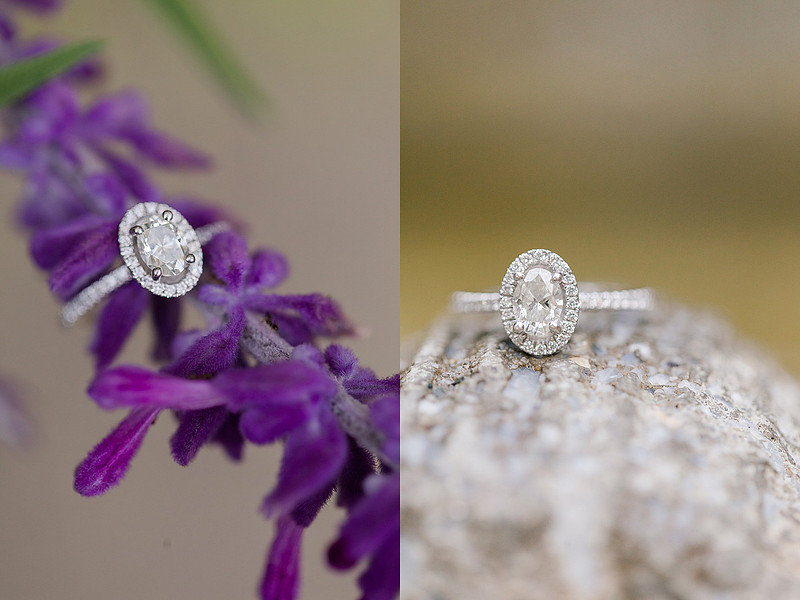 Jennifer B Photography_2554