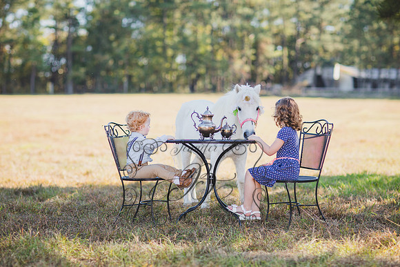 Jennifer B. Photography-Unicorn 3-19