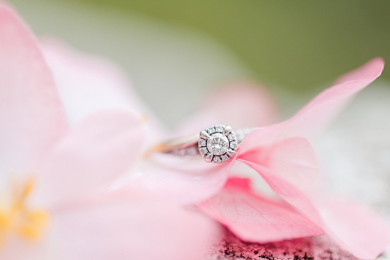 Jennifer B Photography_2636