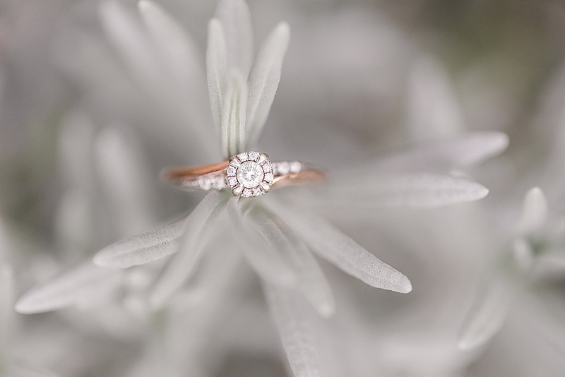 Jennifer B Photography_2637