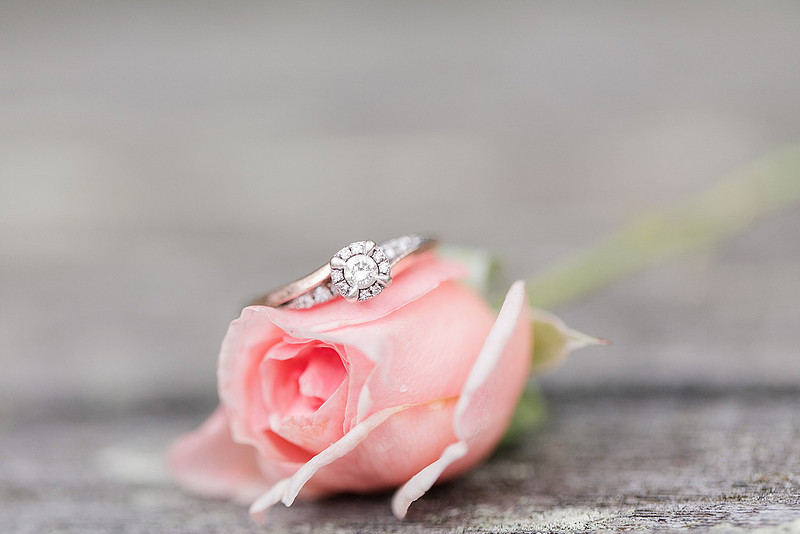 Jennifer B Photography_2640