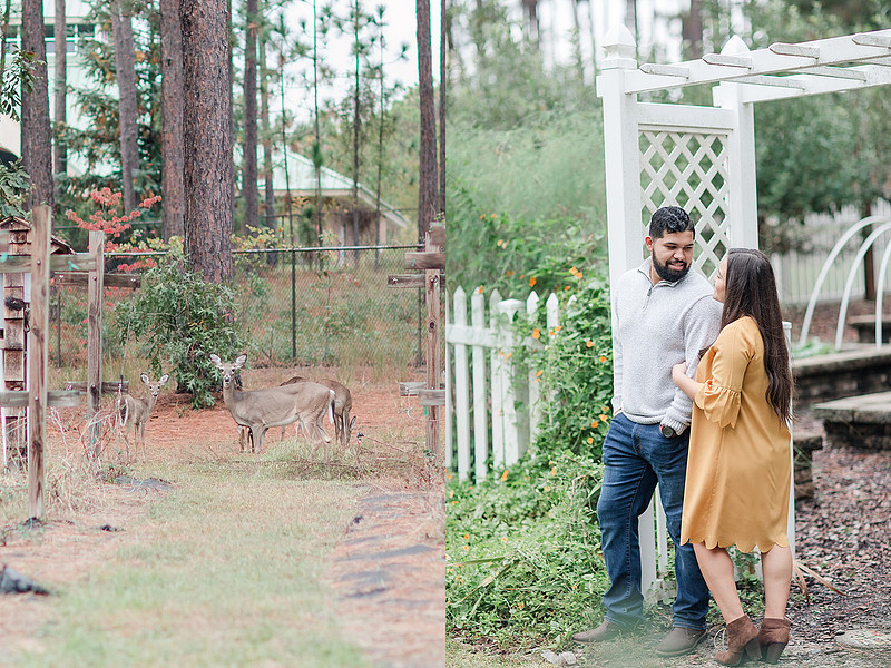 Jennifer B Photography_2649