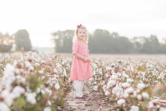 Jennifer B Photography_2658