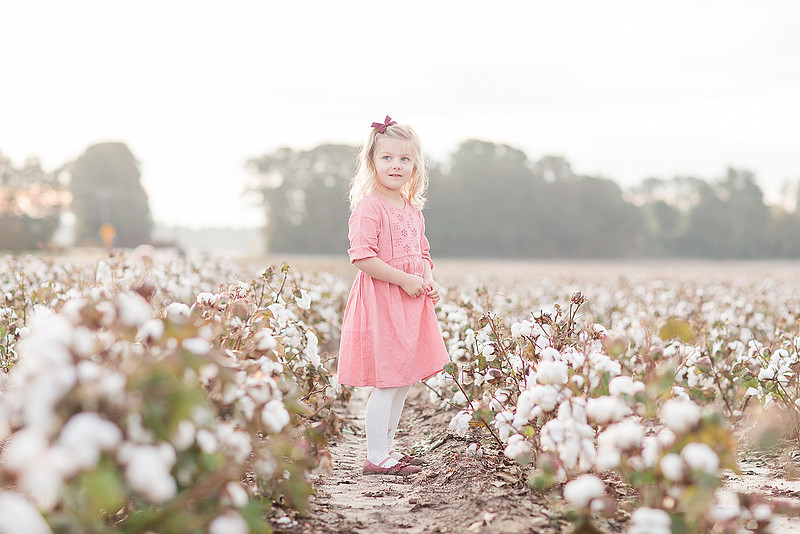 Jennifer B Photography_2658