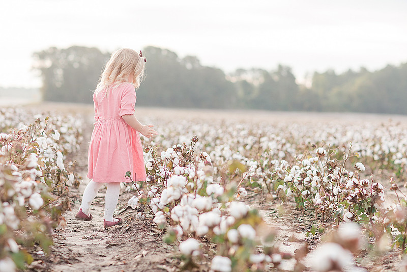 Jennifer B Photography_2657