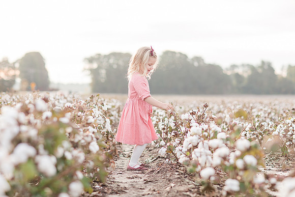 Jennifer B Photography_2659