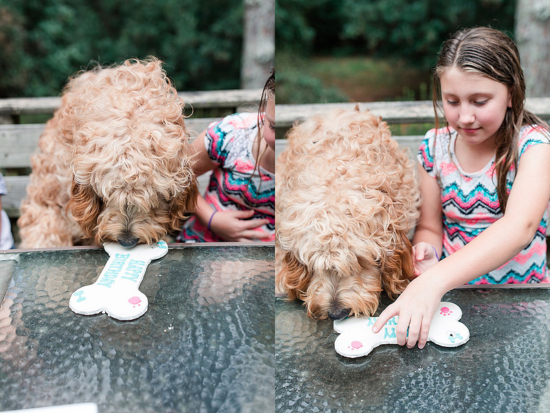 Jennifer B Photography_2937