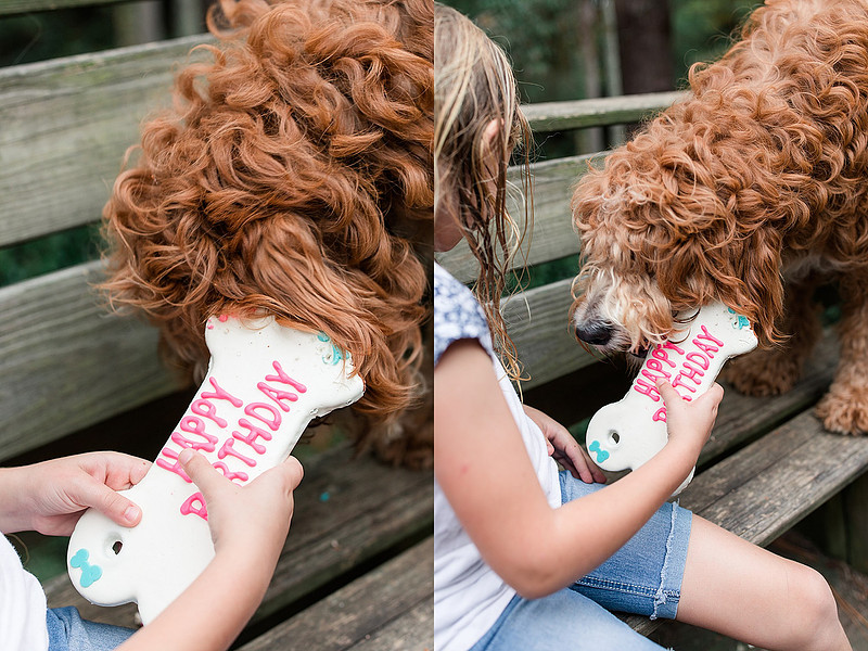 Jennifer B Photography_2942