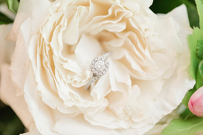 Jennifer B Photography_3504