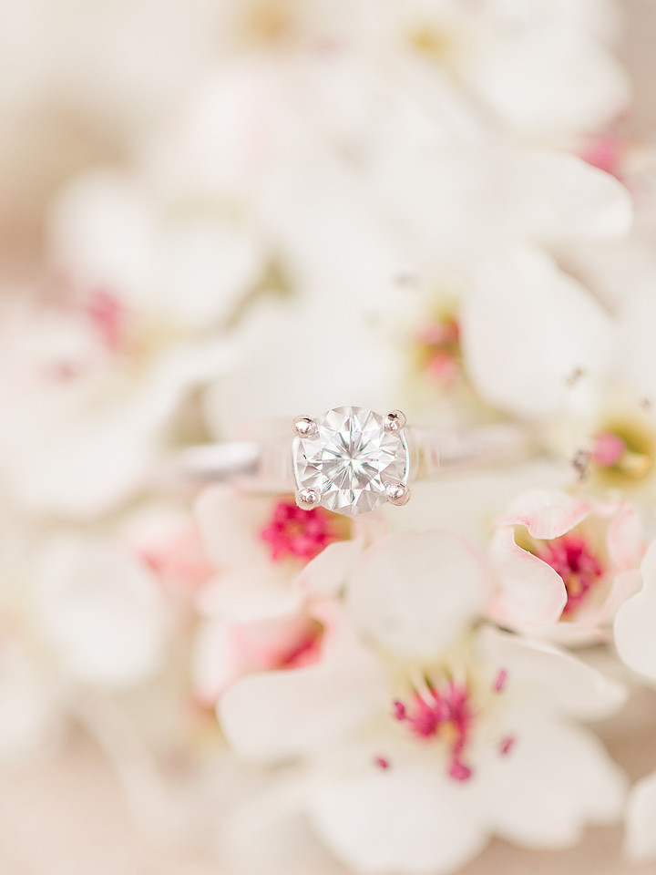 Jennifer B Photography_3913