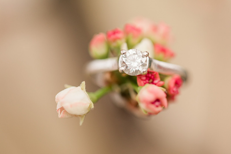 Jennifer B Photography_3944