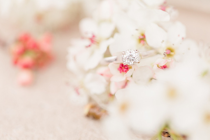 Jennifer B Photography_3946