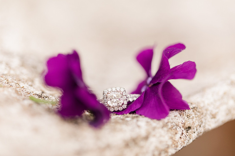 Jennifer B Photography_4152