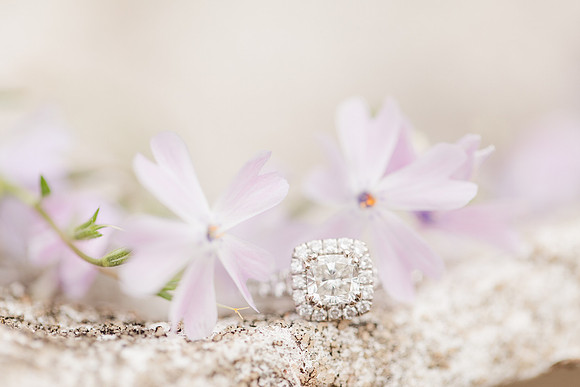 Jennifer B Photography_4154