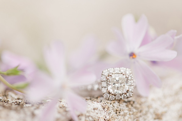 Jennifer B Photography_4155