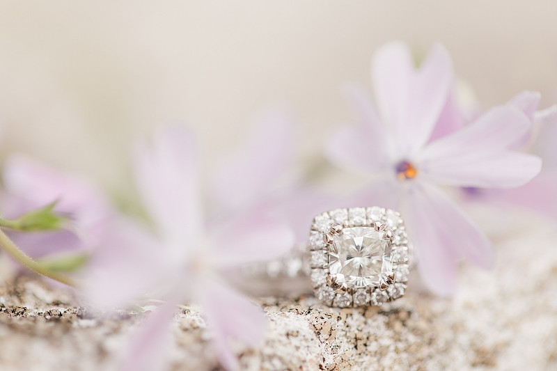 Jennifer B Photography_4155