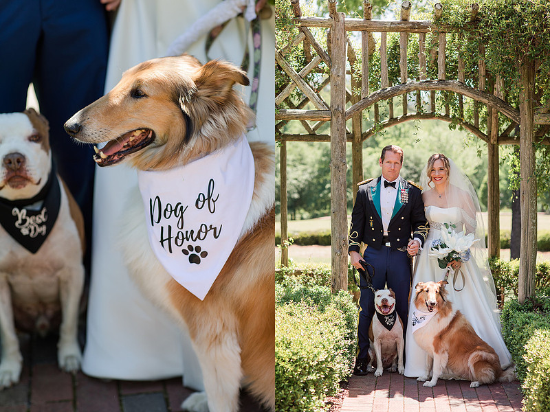 Jennifer B Photography_4604