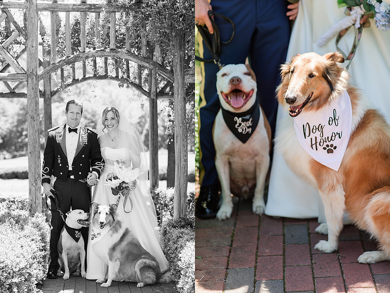 Jennifer B Photography_4605