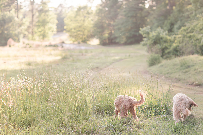 Jennifer B Photography_4702