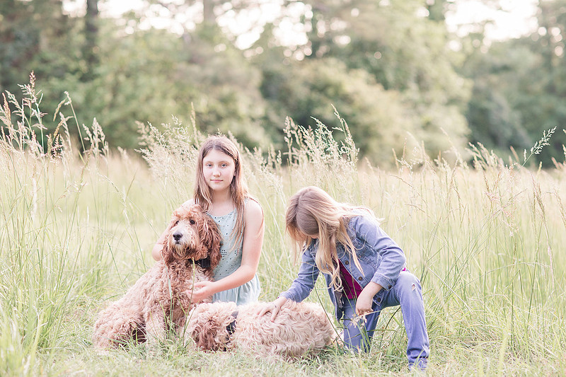 Jennifer B Photography_4705