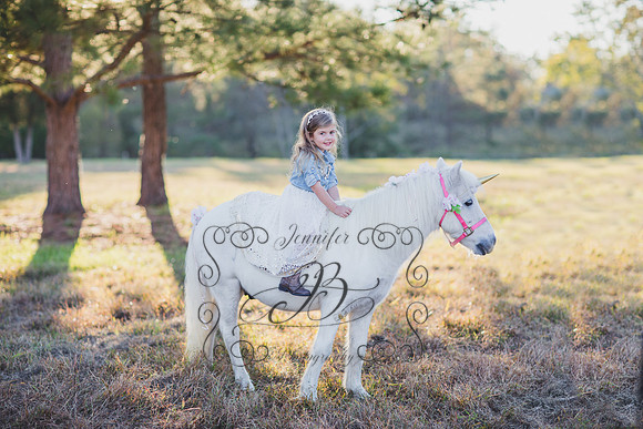 Jennifer B. Photography-Unicorn session 8-9