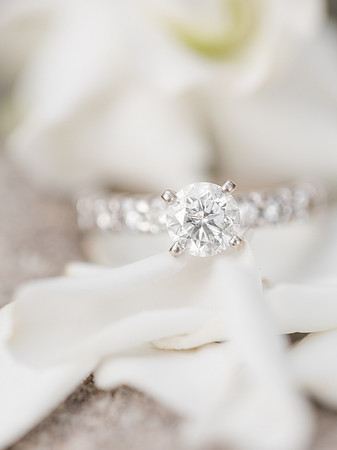 Jennifer B Photography_5385