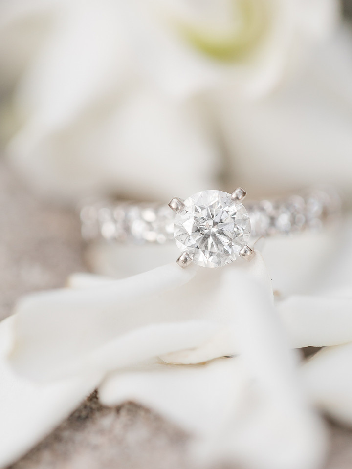 Jennifer B Photography_5385