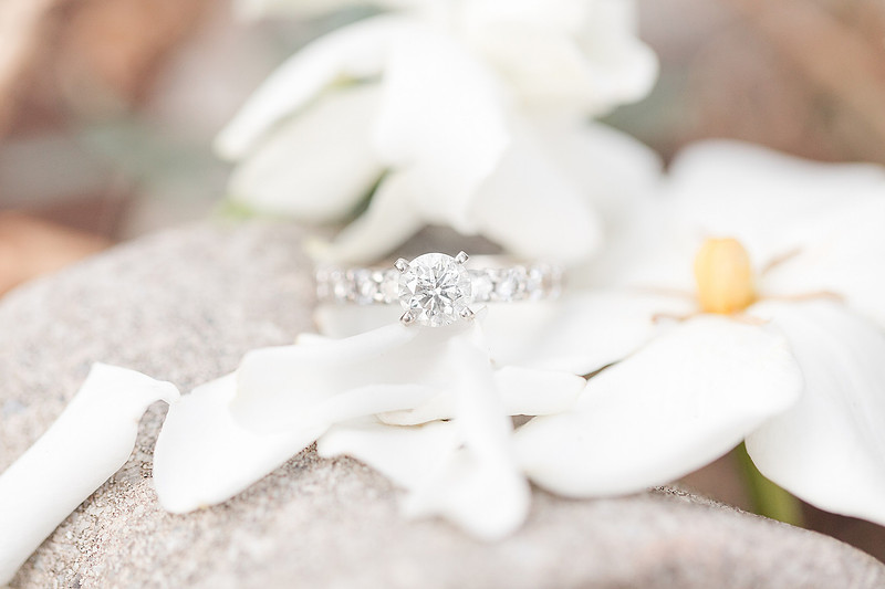 Jennifer B Photography_5386