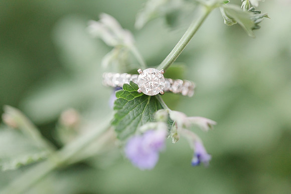 Jennifer B Photography_5387