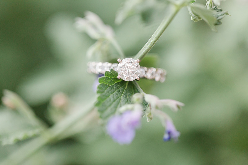 Jennifer B Photography_5387