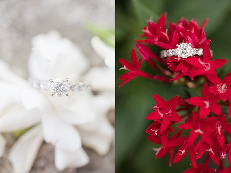 Jennifer B Photography_5388
