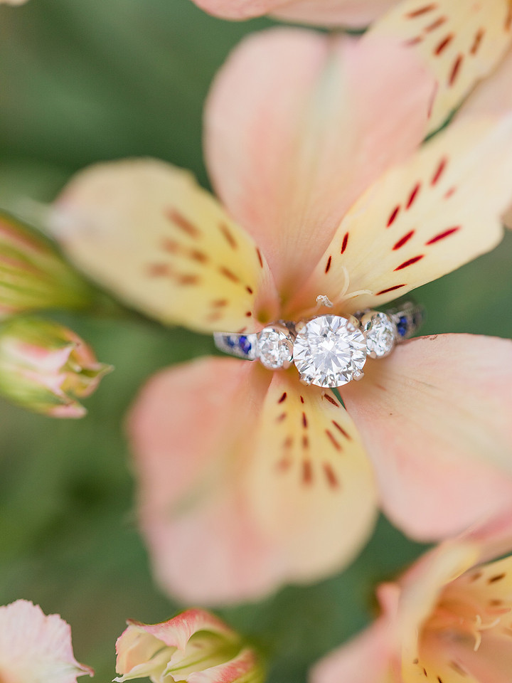 Jennifer B Photography_5434