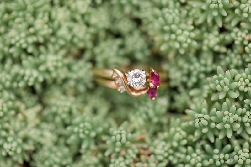 Jennifer B Photography_5509