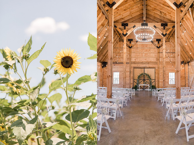 Jennifer B Photography_5521
