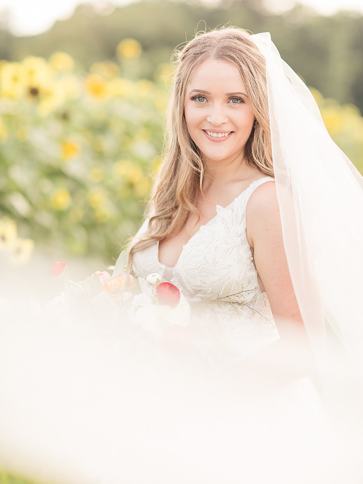 Jennifer B Photography_5592