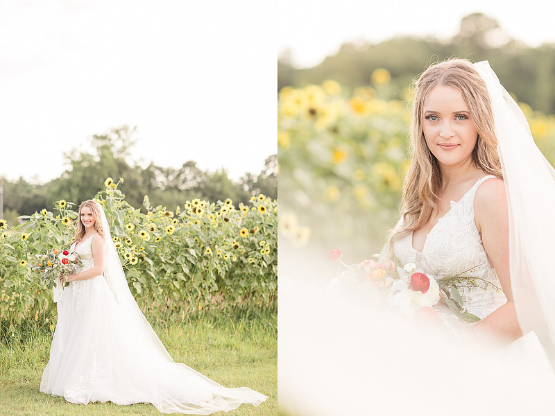 Jennifer B Photography_5595