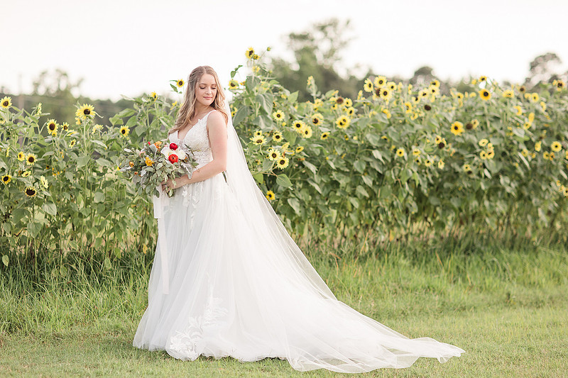 Jennifer B Photography_5597