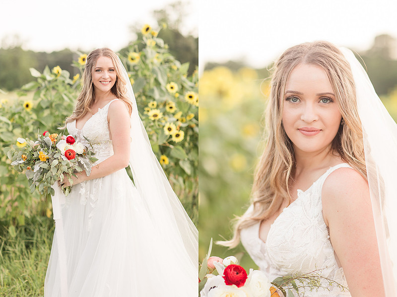 Jennifer B Photography_5598