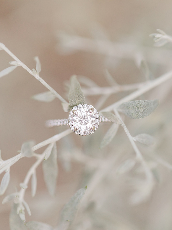 Jennifer B Photography_5678